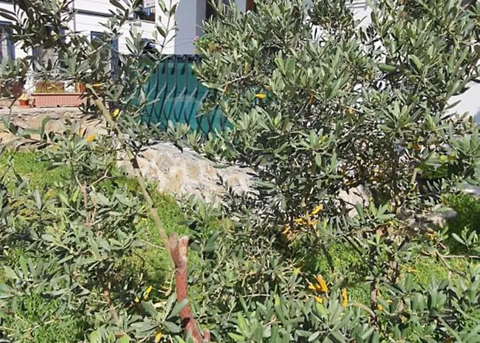 アパート Sahil *