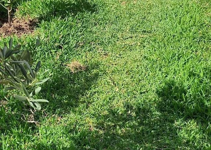 Apartment Sahil Datca